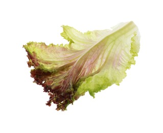 Photo of Leaf of fresh red coral lettuce isolated on white