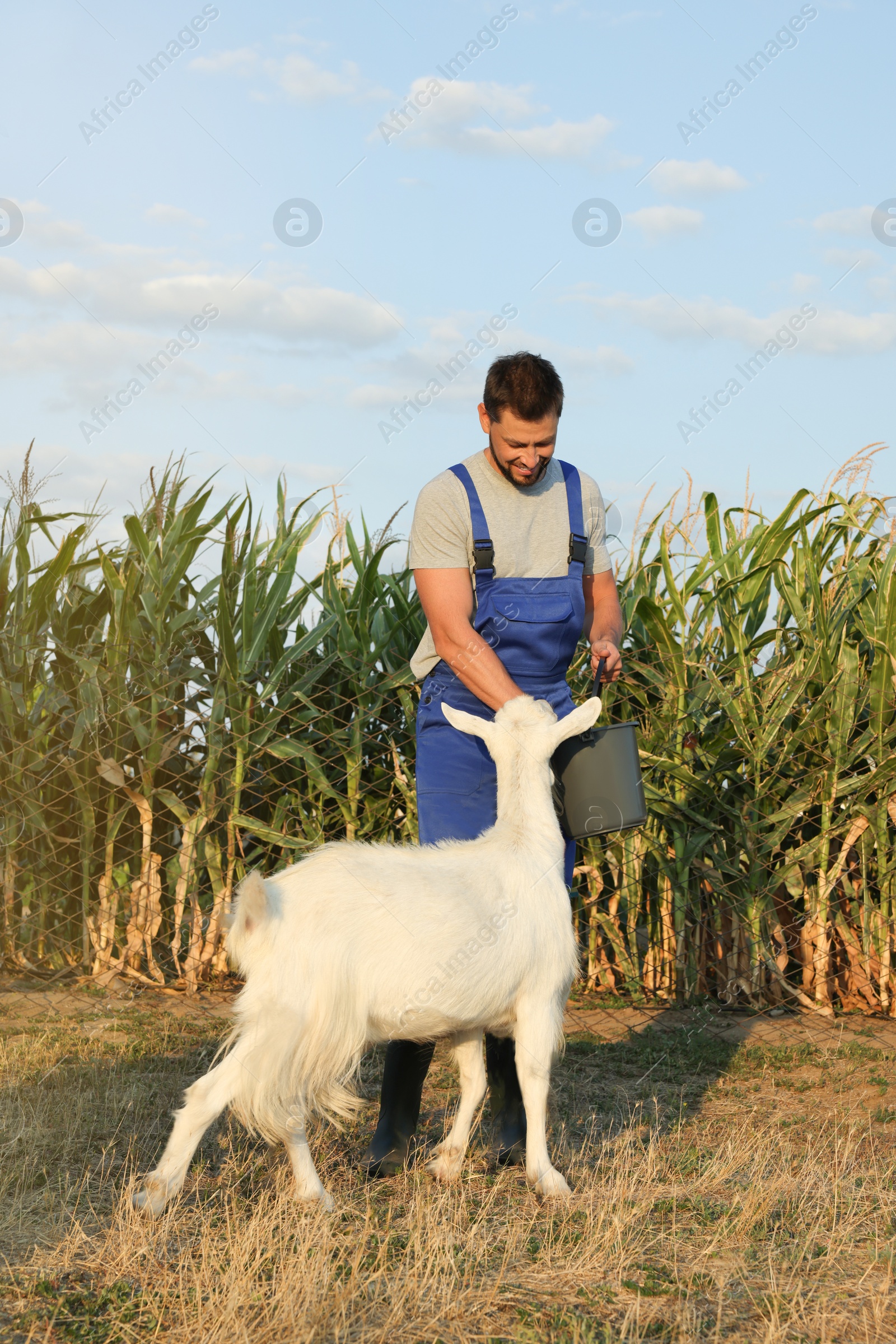 Photo of Man feeding goat at farm. Animal husbandry