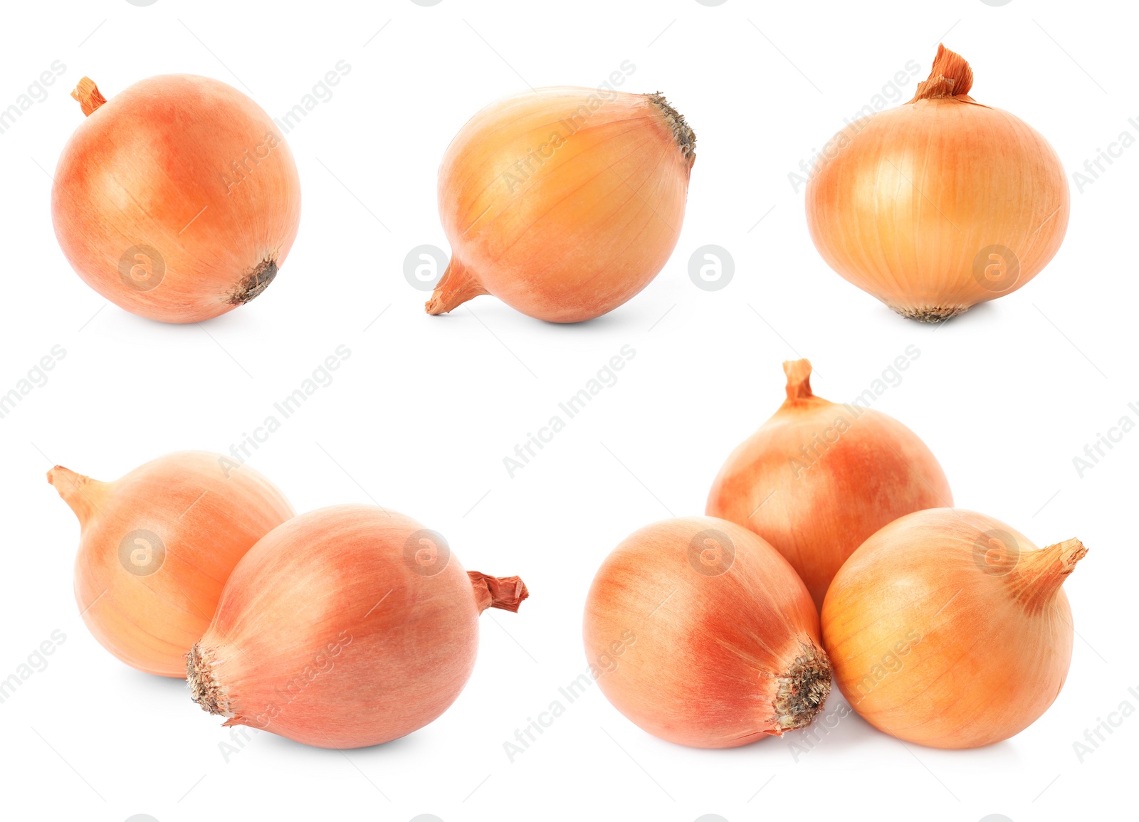 Image of Set of yellow onion bulbs on white background