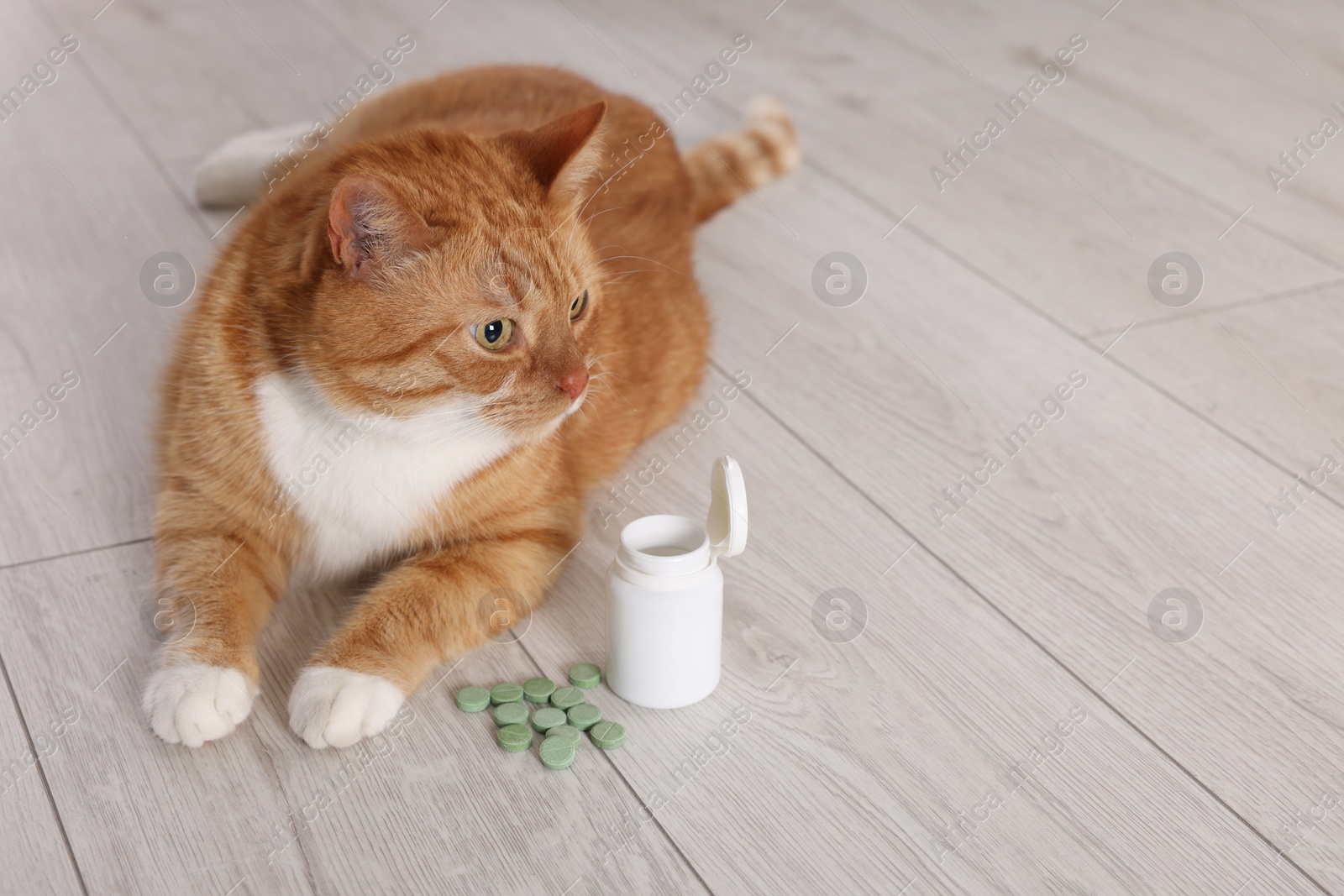 Photo of Cute ginger cat and vitamin pills indoors. Space for text