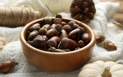 Acorns in wooden bowl on white knitted fabric