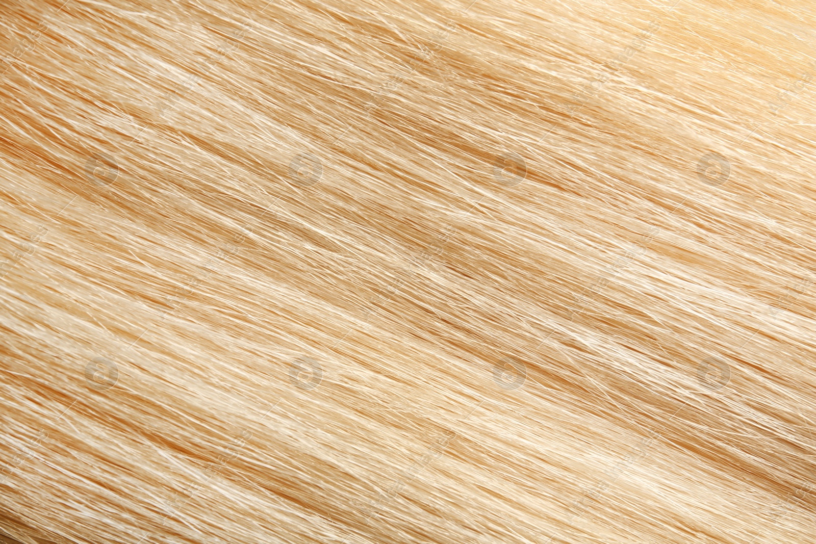 Photo of Texture of healthy blond hair as background, closeup