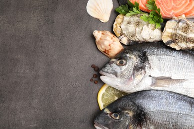 Flat lay composition with fresh raw dorado fish and different seafood on grey table. Space for text