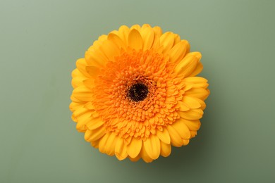 Photo of Beautiful orange gerbera flower on pale green background, top view