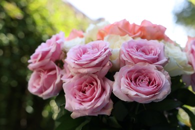 Photo of Beautiful bouquet of aromatic roses outdoors, closeup