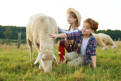 Photo of Children stroking sheep on pasture. Farm animals