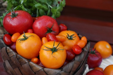 Photo of Different sorts of tomatoes in wicker box