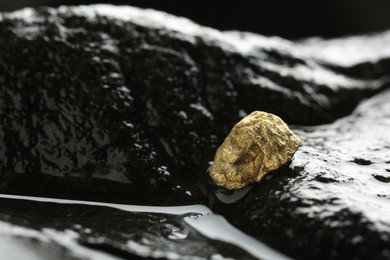 Photo of Shiny gold nugget on wet stone, closeup. Space for text