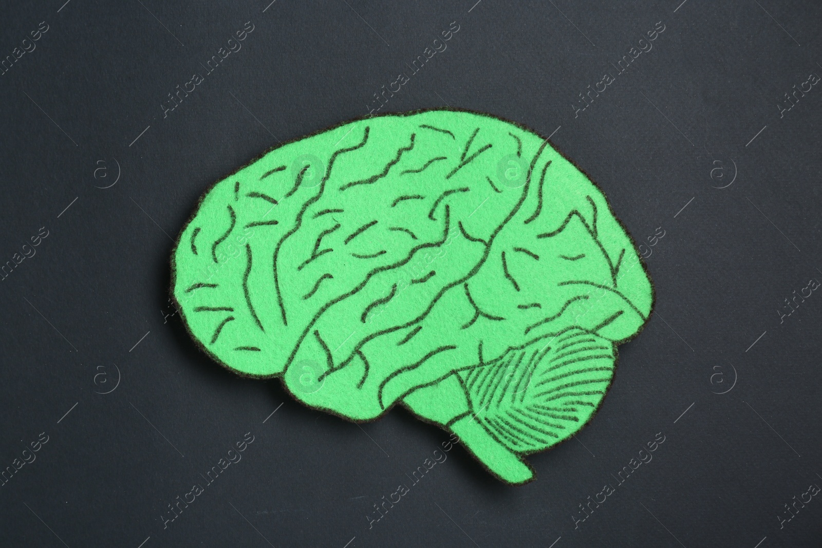 Photo of Paper cutout of human brain on black background, top view