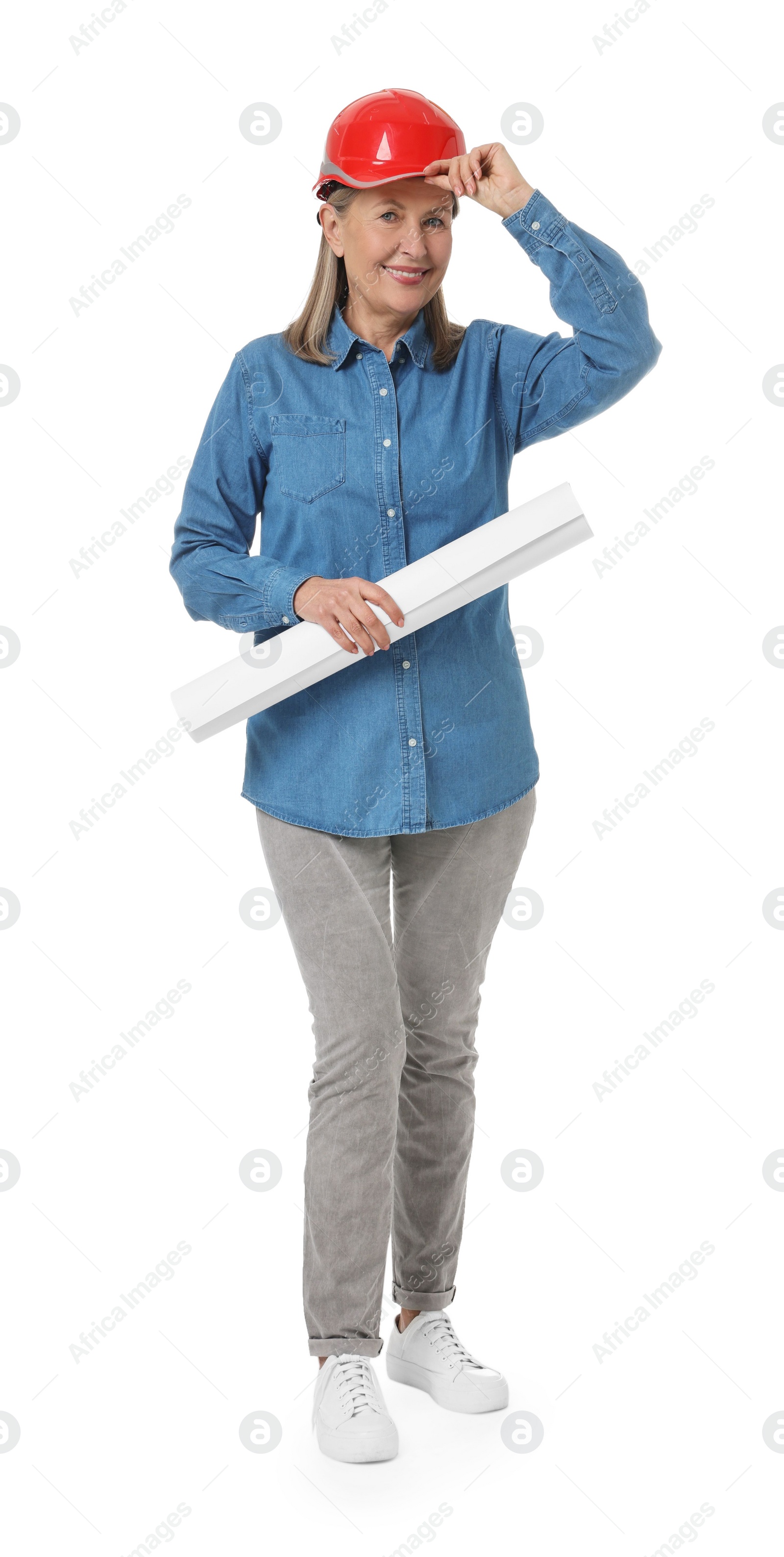 Photo of Architect in hard hat with draft on white background