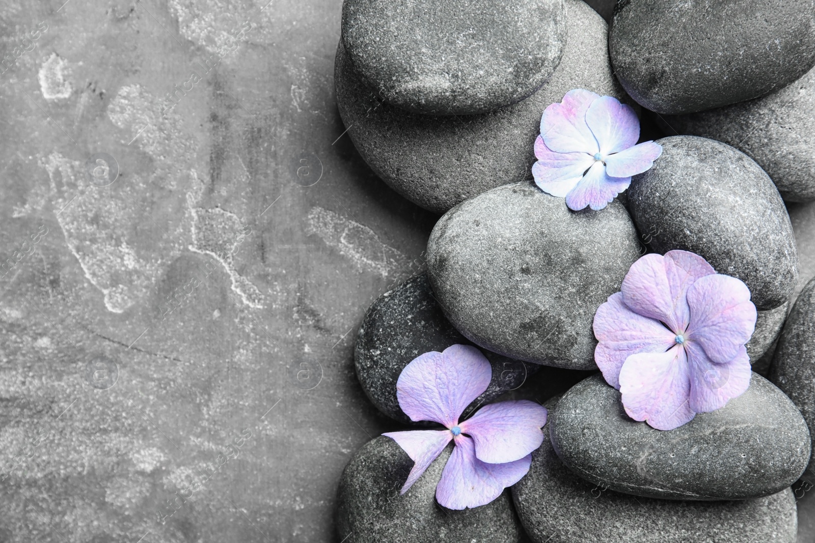 Photo of Zen stones and exotic flowers on grey background, top view with space for text