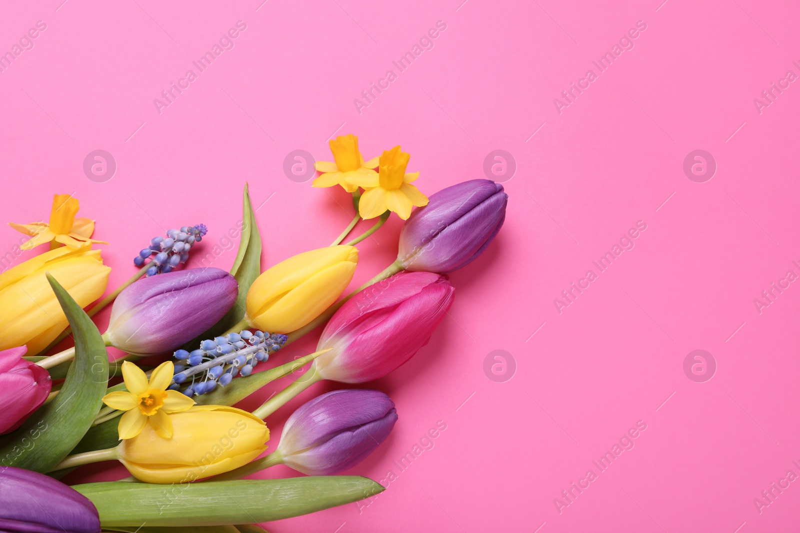 Photo of Beautiful different flowers on pink background, flat lay. Space for text