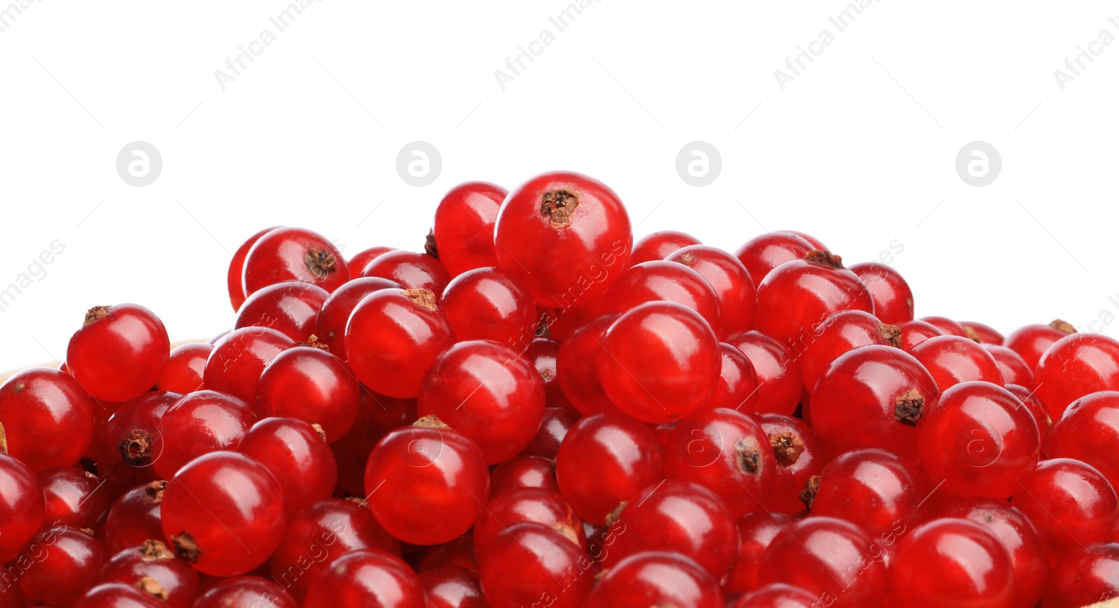 Photo of Many tasty fresh red currant berries isolated on white