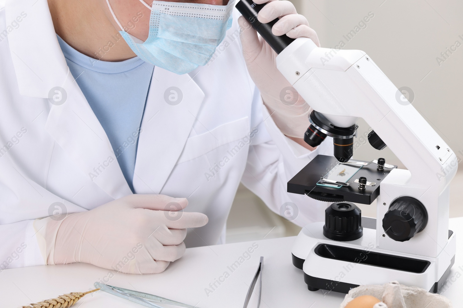 Photo of Quality control. Food inspector examining wheat grain under microscope in laboratory, closeup