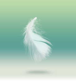 Image of Fluffy bird feather falling on color background