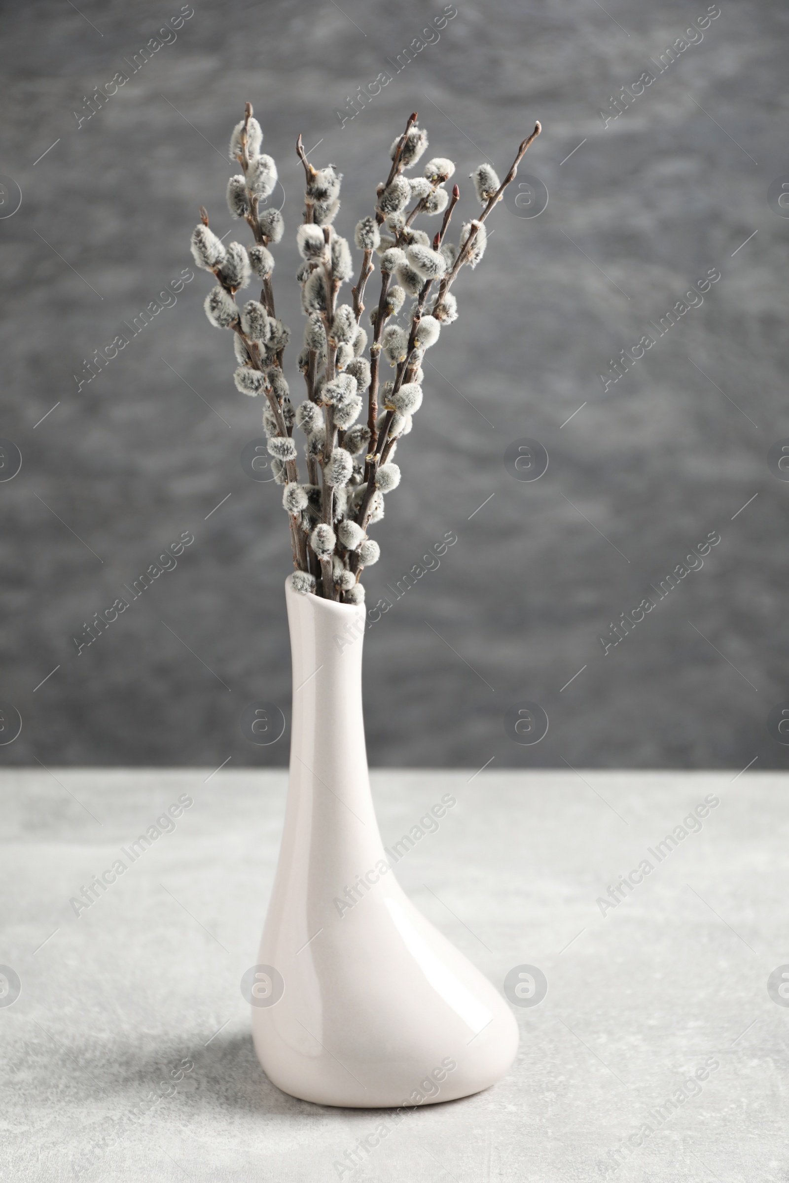 Photo of Beautiful pussy willow branches in vase on light grey table