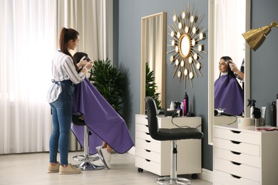 Professional hairdresser dying hair in beauty salon