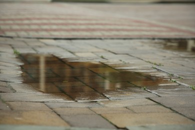 Photo of Puddle after rain on street tiles outdoors, closeup