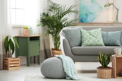 Living room interior with green houseplants and sofa