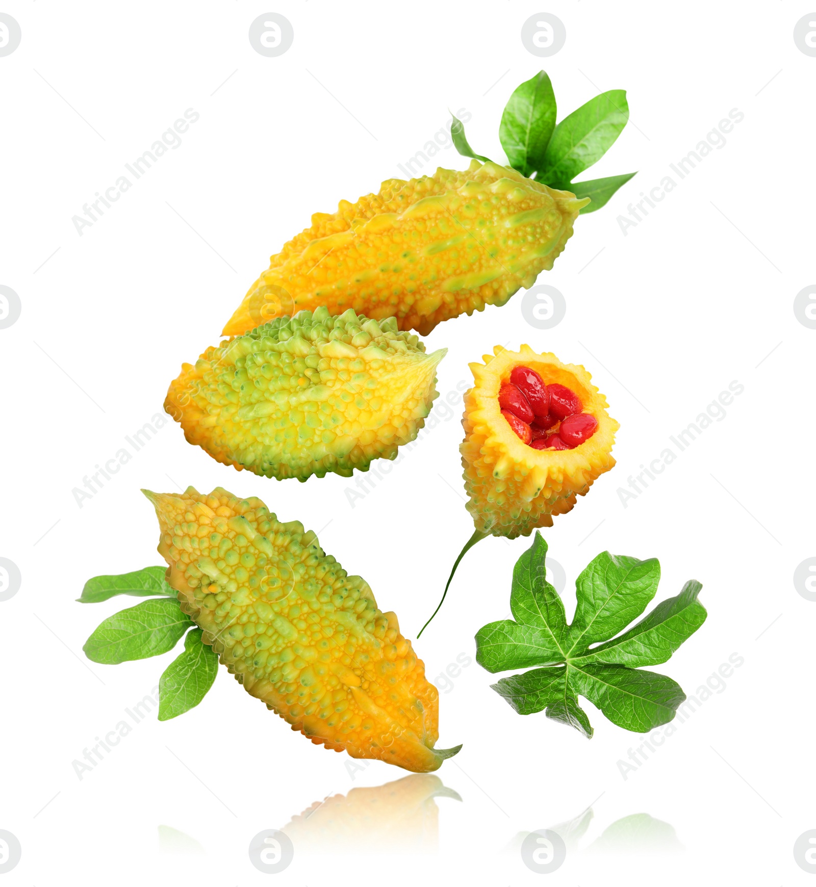 Image of Delicious ripe bitter melons and leaves falling on white background