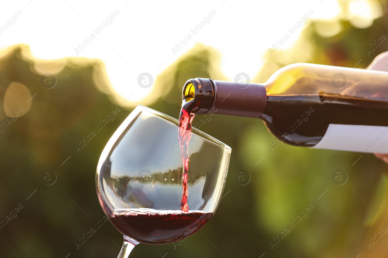 Photo of Woman pouring wine from bottle into glass outdoors, closeup