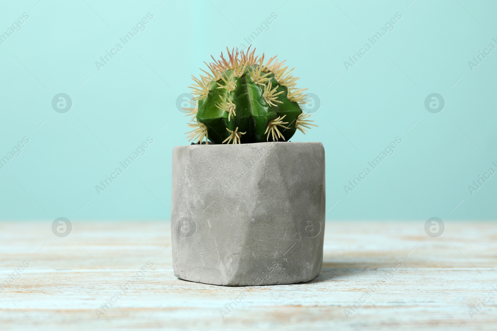 Photo of Artificial plant in cement flower pot on light blue wooden table