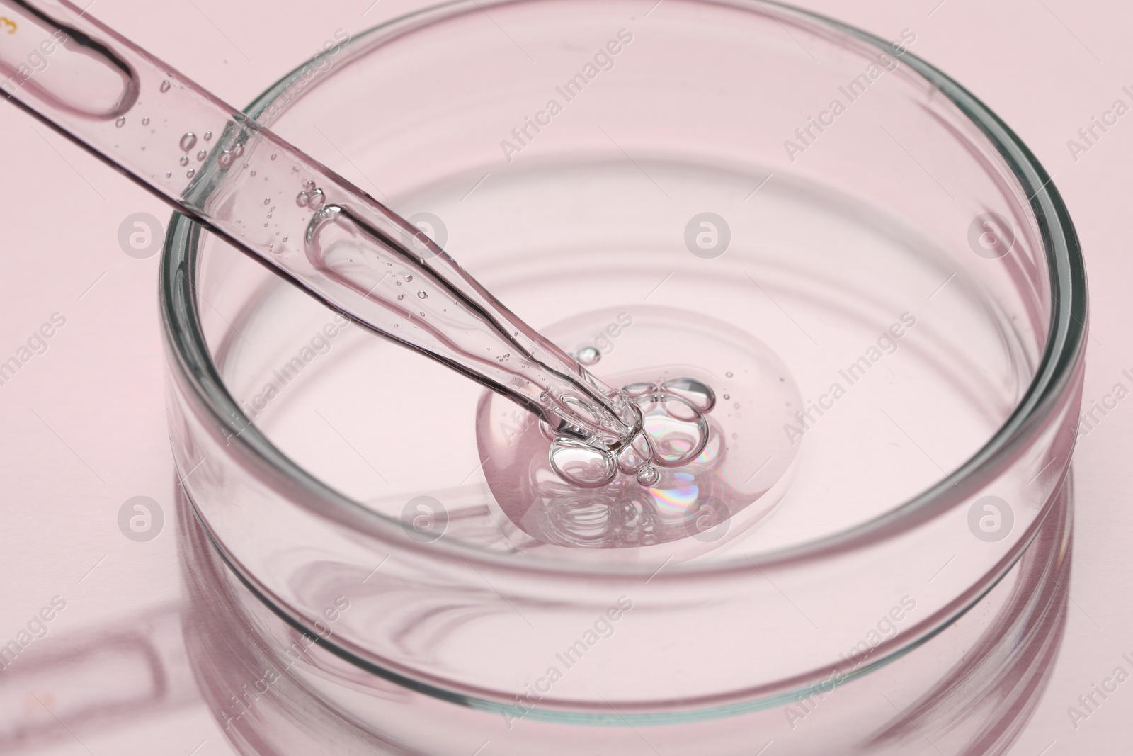 Photo of Glass pipette and petri dish with liquid on pink background, closeup