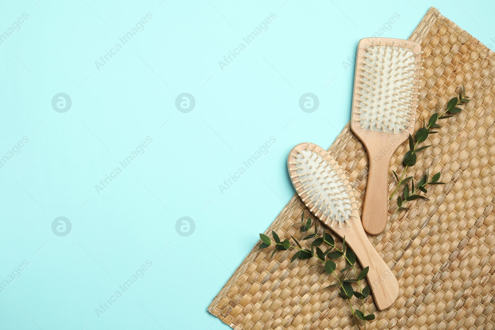 Photo of Modern hair brushes and plants on light blue background, flat lay. Space for text
