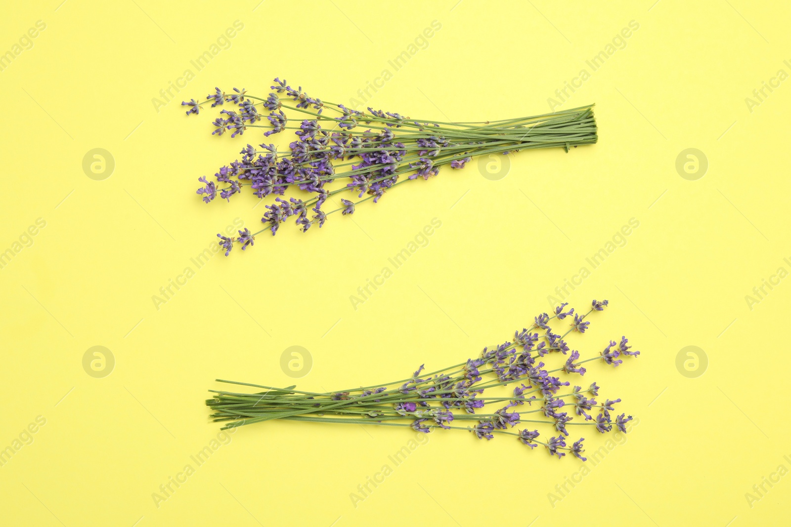 Photo of Beautiful lavender flowers on yellow background, flat lay. Space for text