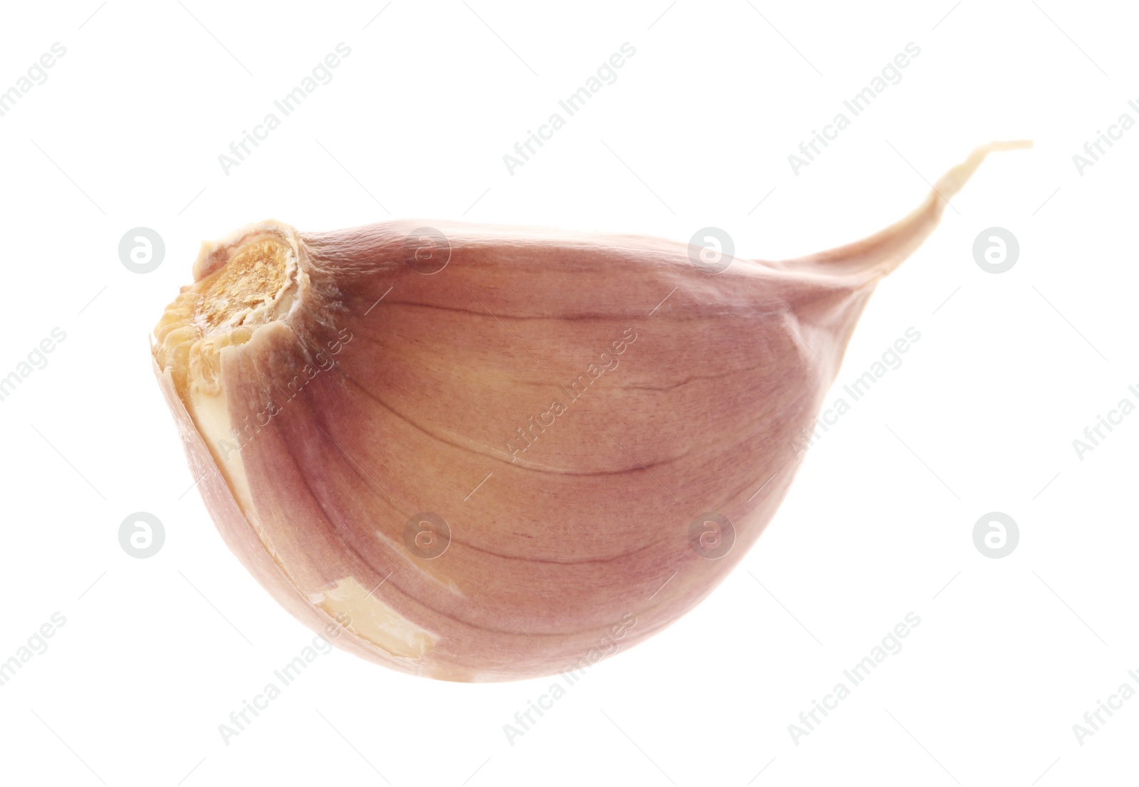 Photo of One unpeeled clove of garlic isolated on white