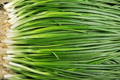 Photo of Fresh green onions as background, top view