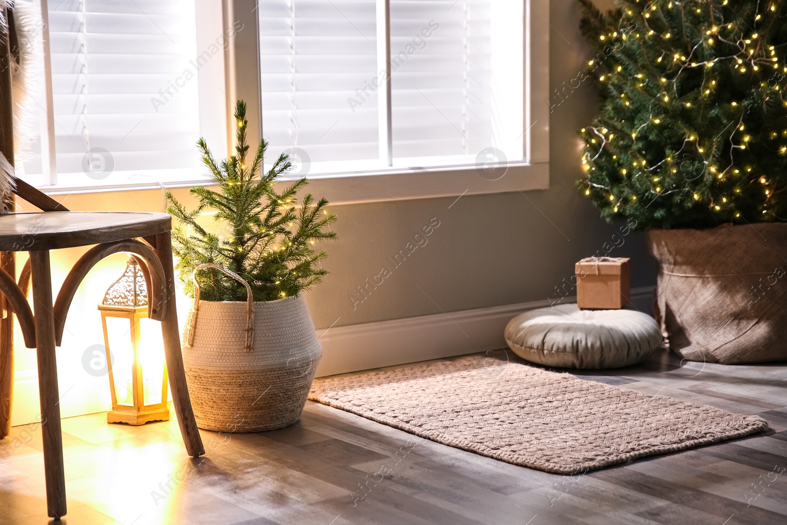 Photo of Small and big Christmas trees near window in room. Festive interior design