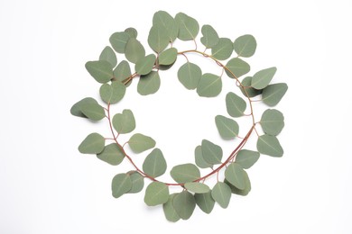 Eucalyptus branches with fresh leaves on white background, top view