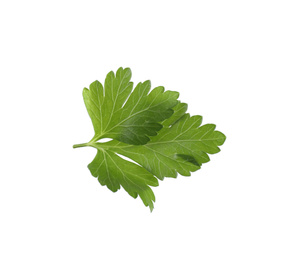 Photo of Aromatic fresh green parsley isolated on white