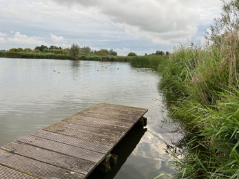 Picturesque view of river reeds and cloudy sky