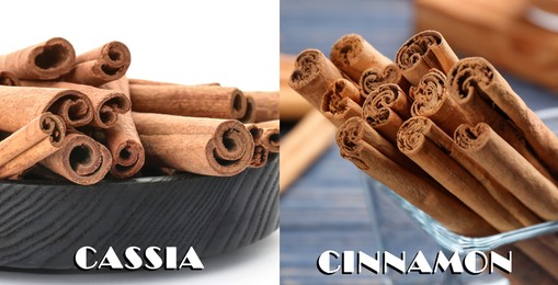 Collage with photos of cassia and ceylon cinnamon sticks, closeup. Banner design