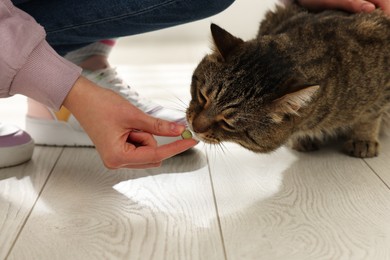 Photo of Woman giving pill to cute cat indoors, closeup. Vitamins for animal