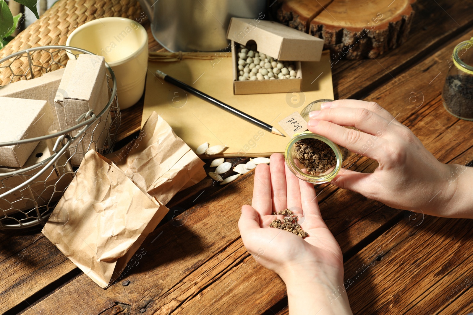 Photo of Woman with vegetable seeds at wooden table, closeup