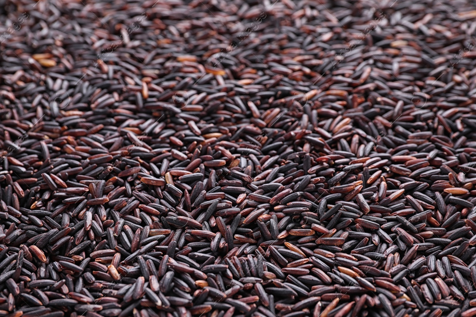 Photo of Uncooked organic brown rice as background, closeup