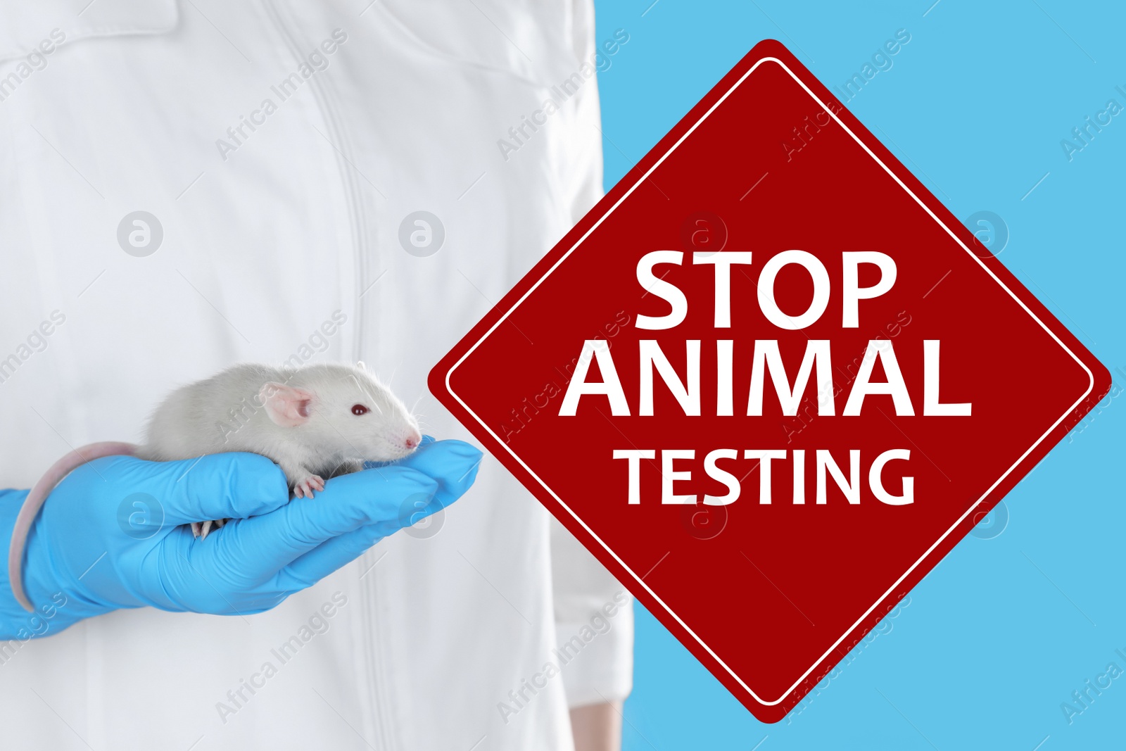 Image of STOP ANIMAL TESTING.Scientist holding rat on light blue background, closeup