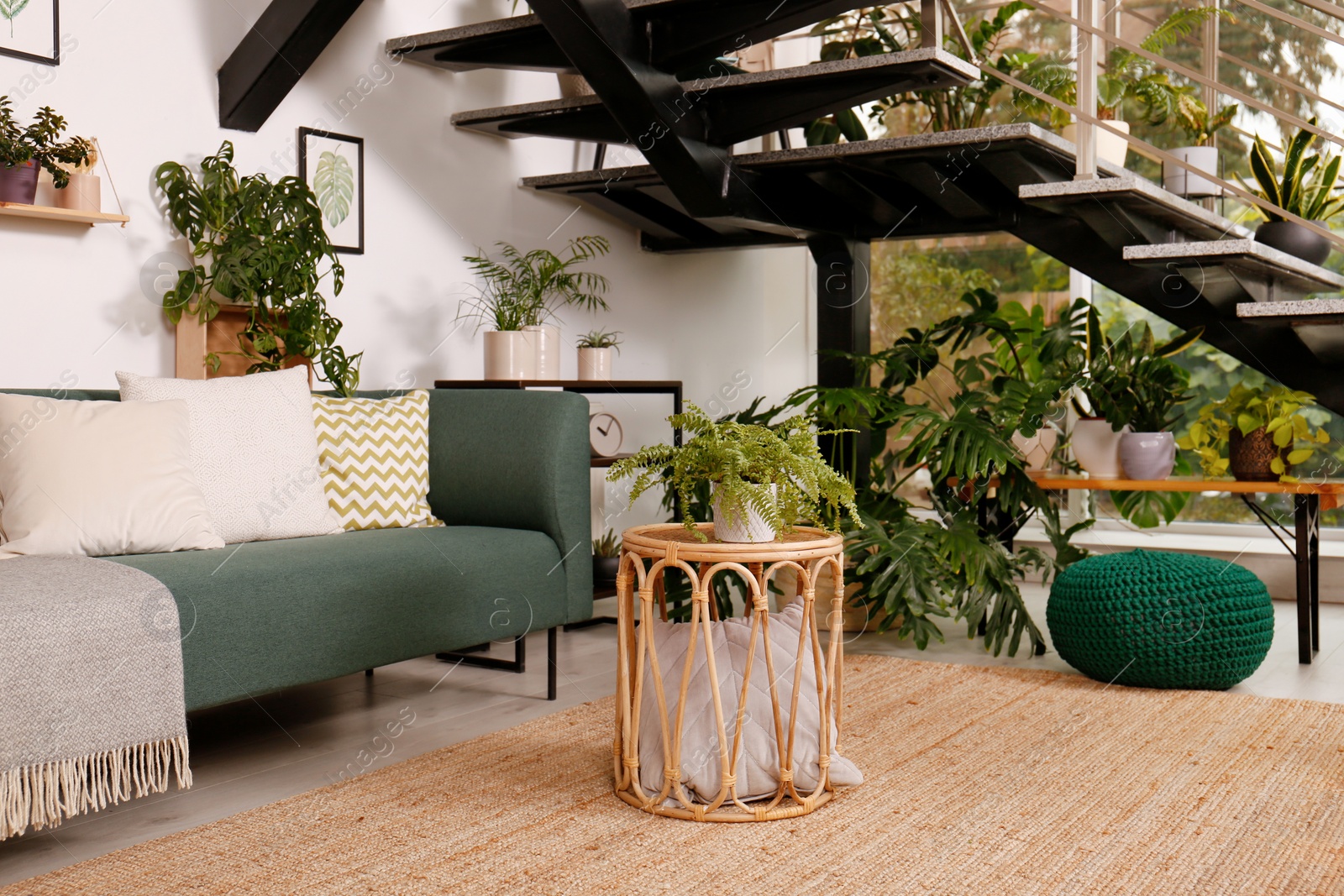 Photo of Stylish living room interior with comfortable sofa and green plants