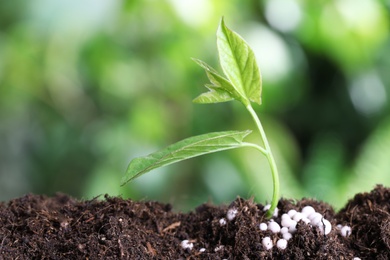 Photo of Fresh growing plant and fertilizer on soil against blurred background, space for text. Gardening time