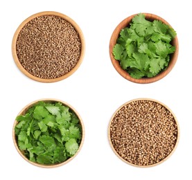 Image of Set with fresh green coriander leaves and dried seeds on white background, top view