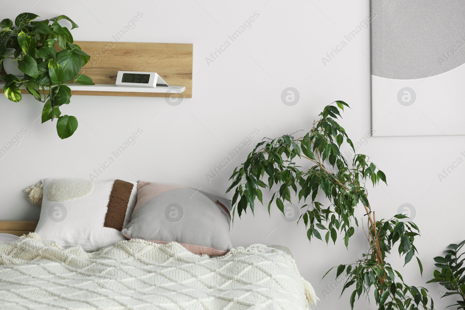 Photo of Soft bed with pillows and houseplants in cozy room. Interior design