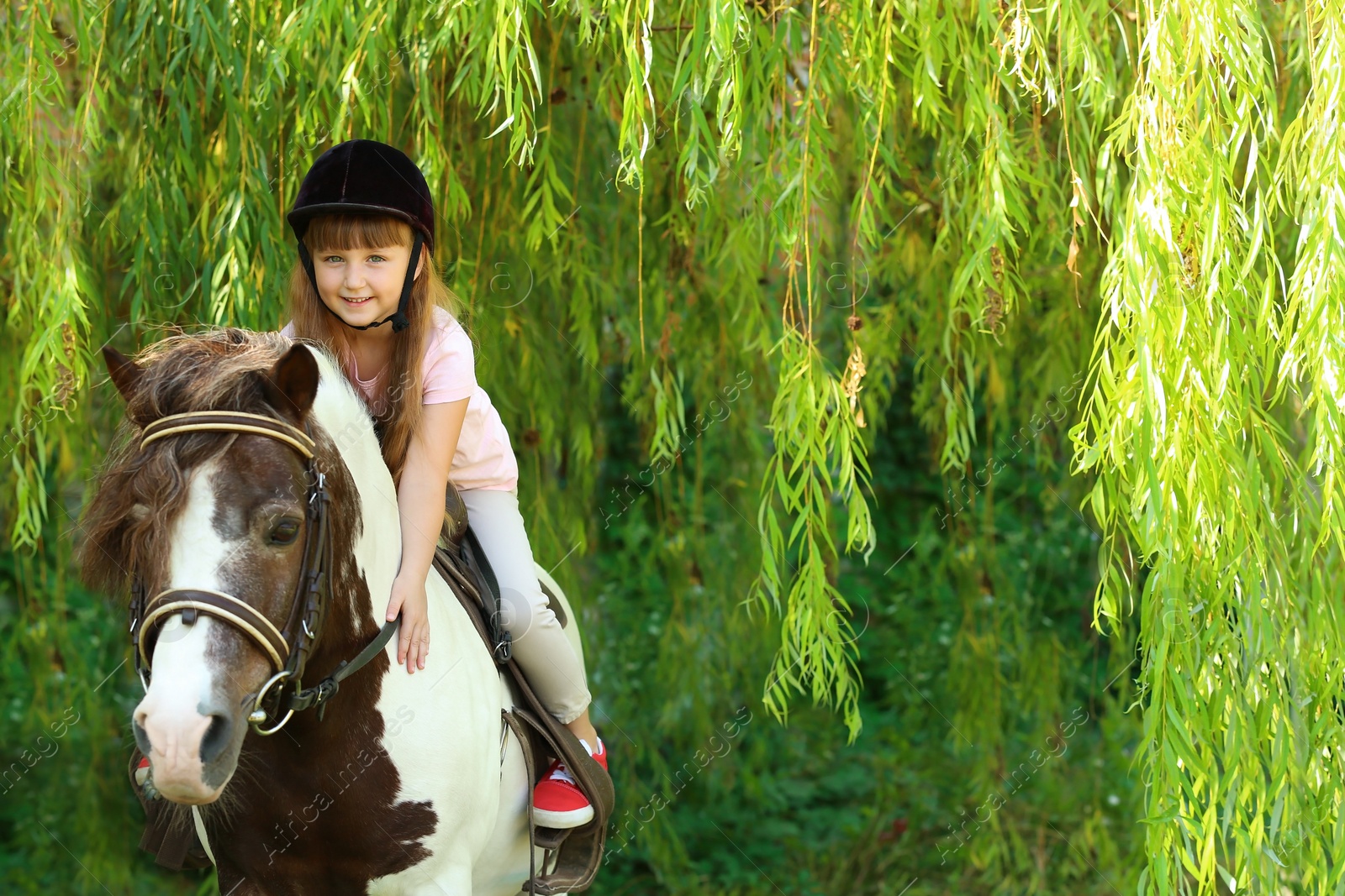 Photo of Cute little girl riding pony in green park