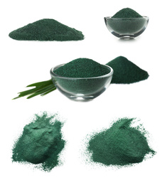 Set of spirulina algae powder on white background