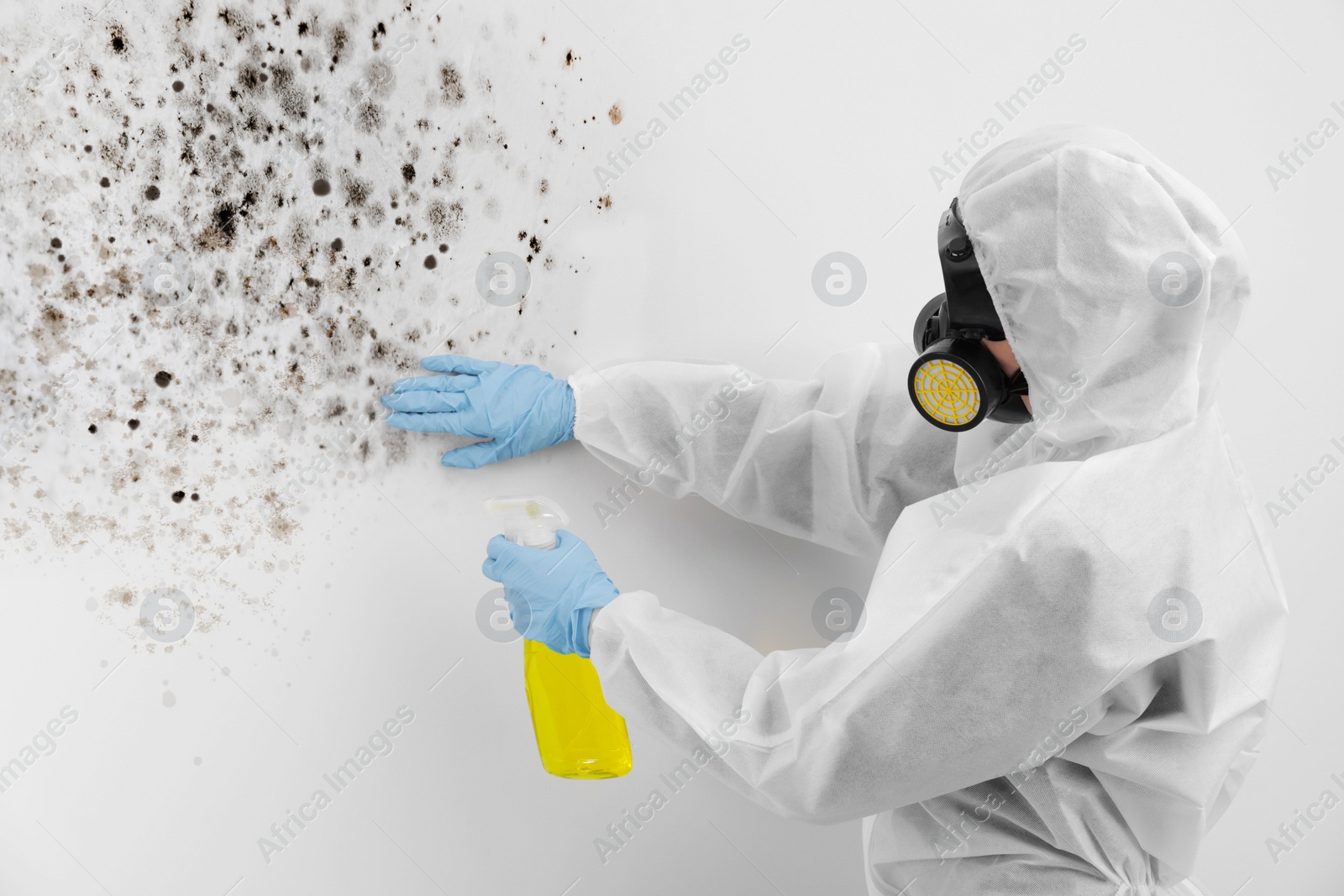 Image of Woman in protective suit and rubber gloves using mold remover on wall