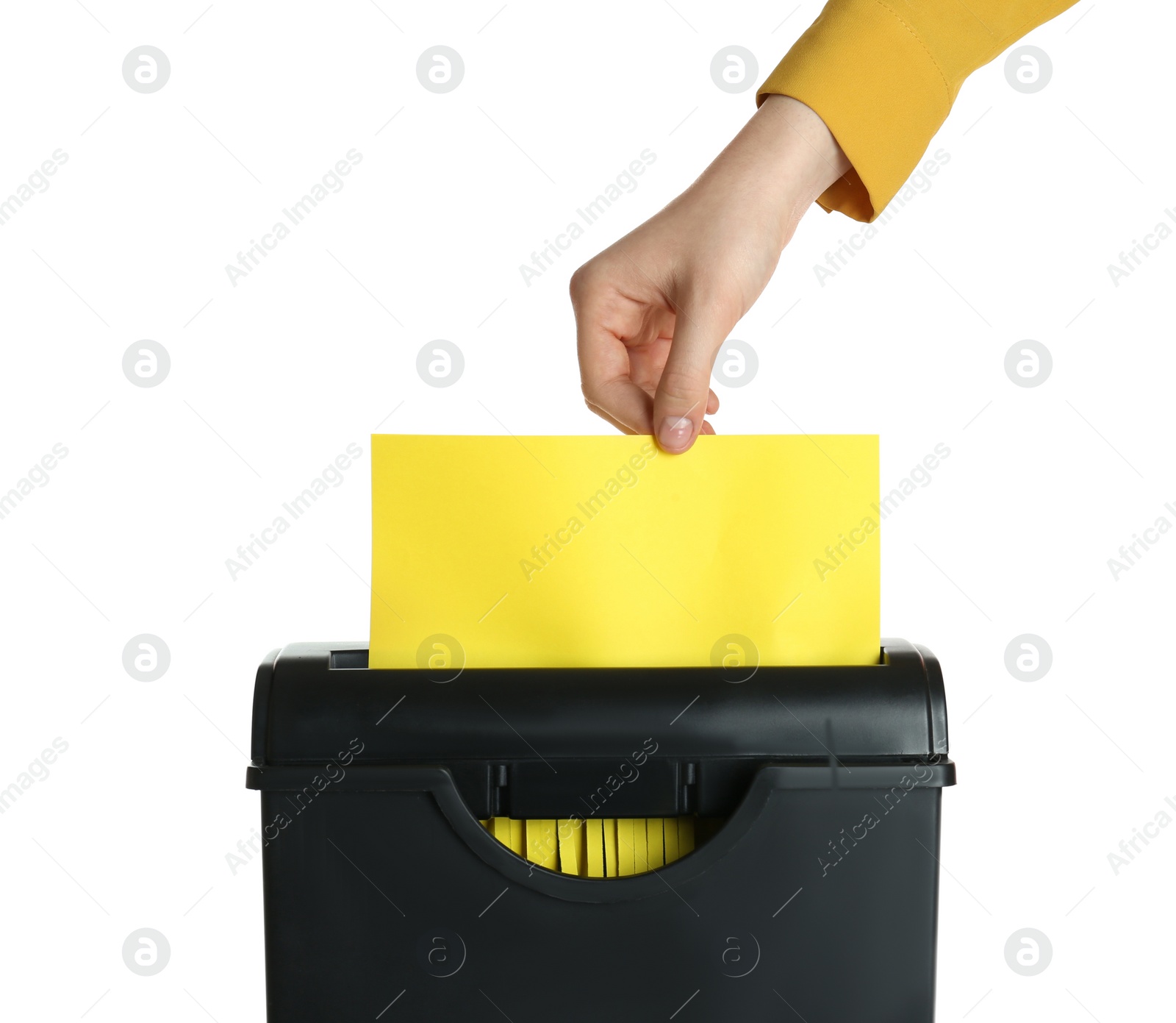 Photo of Woman destroying sheet of yellow paper with shredder on white background, closeup