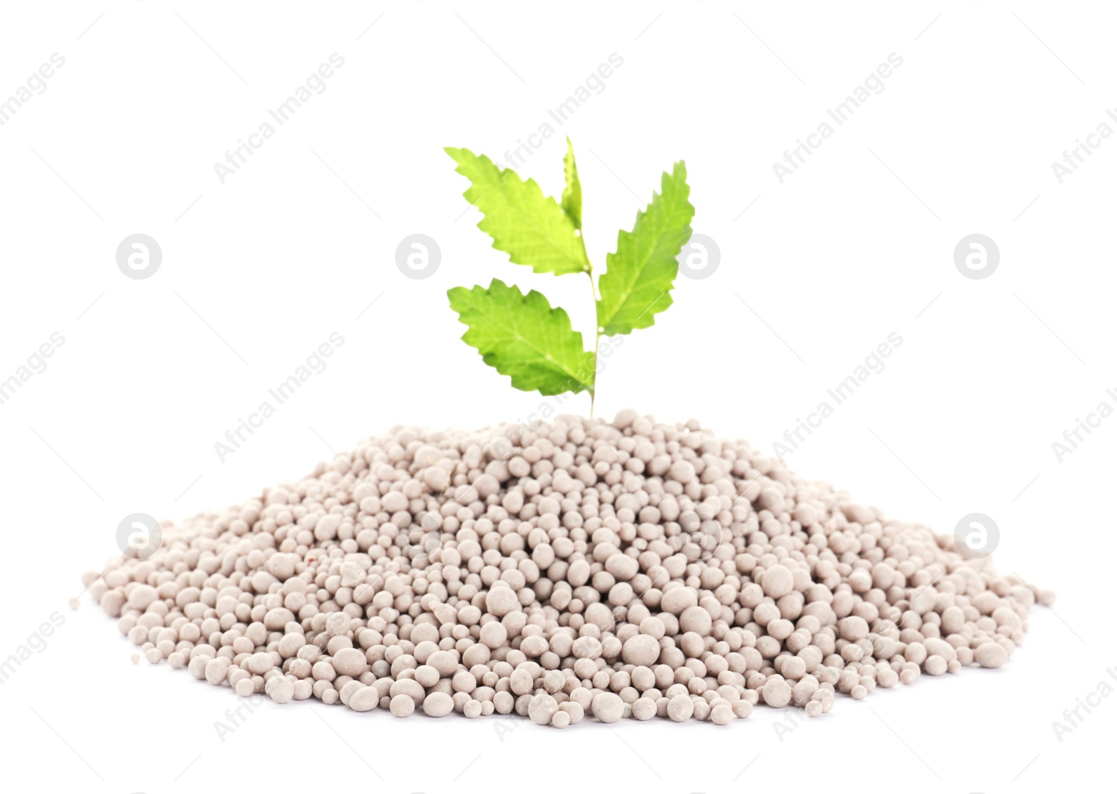 Photo of Pile of chemical fertilizer and green plant isolated on white. Gardening time