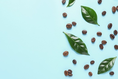 Photo of Fresh green coffee leaves and beans on light blue background, flat lay. Space for text